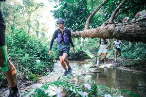 BIB: 
                            <button type="button" onclick="openModal(25439293)" class="btn btn-primary btn-sm float-right btn-popup" data-toggle="modal" data-target=".modal-high-quality">
                        <i class="fas fa-shopping-cart"></i> Add to Cart
                    </button>
                                            <button type="button" onclick="isThisMe(25439293, true)" class="btn btn-success btn-sm float-right btn-popup btn-isme hidden" data-toggle="tooltip" data-placement="bottom" title="นี่คือรูปของคุณใช่ไหม คลิกที่นี่เพื่อเอาเข้าอัลบั้ม">
                        <i class="fas fa-plus"></i> Add to album
                    </button>
                    <button type="button" onclick="isThisMe(25439293, false)" class="btn btn-warning btn-sm float-right btn-popup btn-isnotme hidden">
                        <i class="fas fa-ban"></i> Remove from album
                    </button>